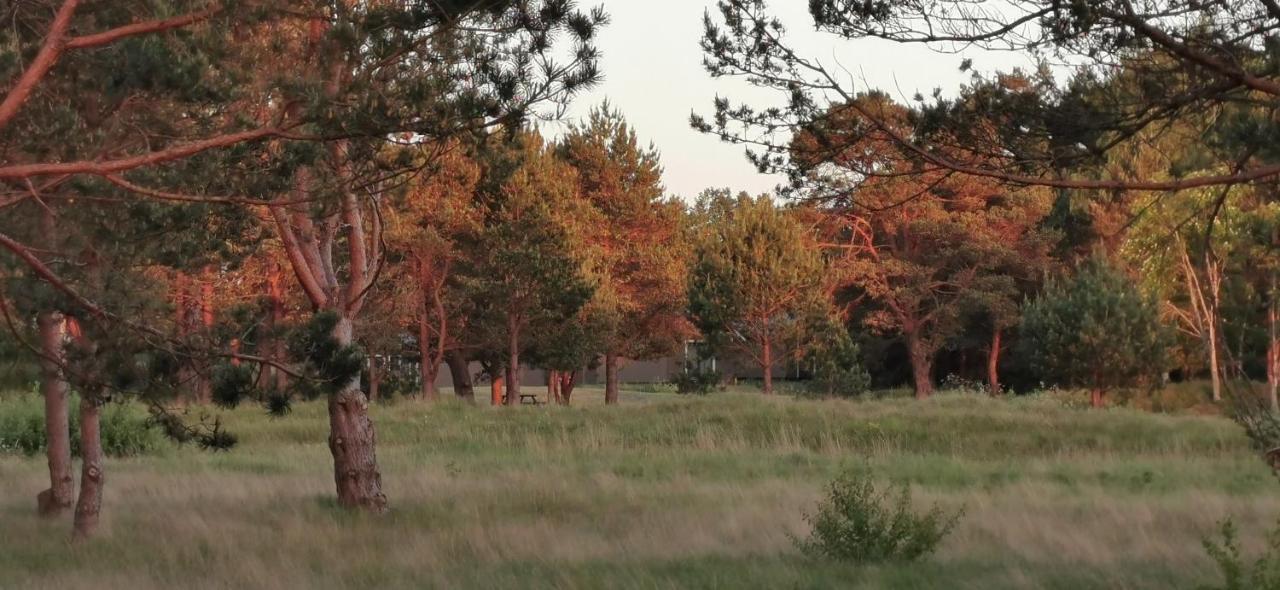 Campsite Girti Bernāti Екстериор снимка